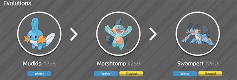 mudkip best moveset.